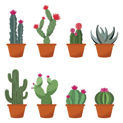 Cute Cactus Cacti Plant Pot Flat Design Illustration Set
