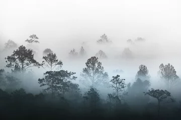 Silhouette aus mehreren Schichten tropischer Regenwaldwälder, die von neblichem Dampfmorgennebel bedeckt sind. Verträumter Tagesanbruch in einer wunderschönen Ebene mit Baumreihen im Naturpark Slang Luang, Thailand. © suebsiri