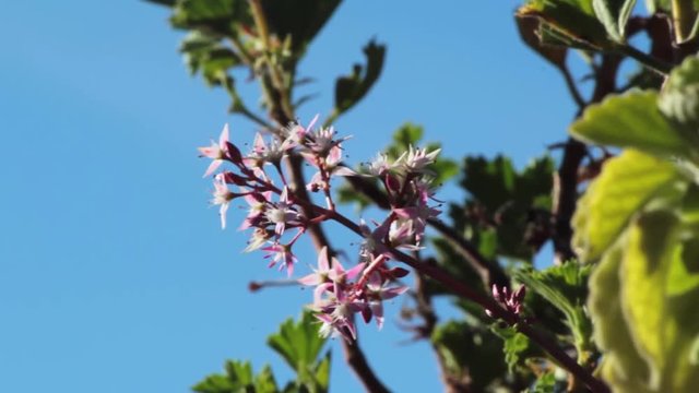 Calma en el jard&iacute;n