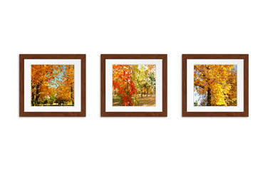 Three photo frames with colorful autumn pictures collage, interior decor mock up
