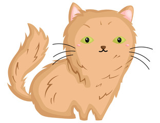 a vector of a cute angora cat