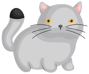 a vector of a cute british shorthair cat