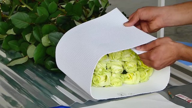 the man packages the flowers with a paper, preparation for transport