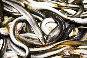 Wet long stripped fishes stacking together, seafood background can be used for topics like fishing and fresh food market