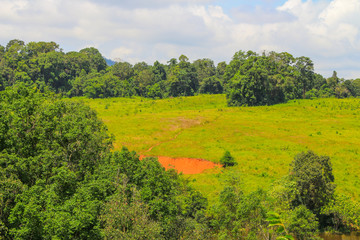 Salt lick for wild elephant animals surrounding with green nature grass land forest mountain landscape blue sky views at Khao yai national park Thailand