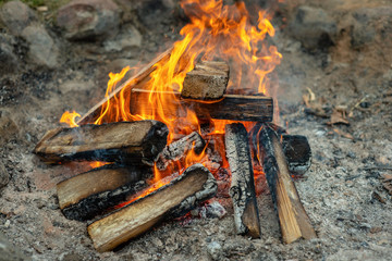 Warm fireplace with lots of trees ready for barbecue.