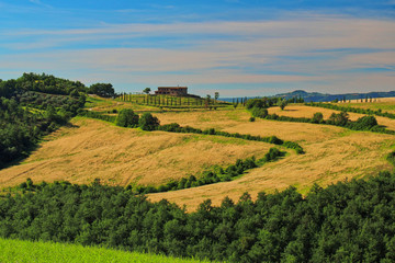 Typical landscape in Tuscany
