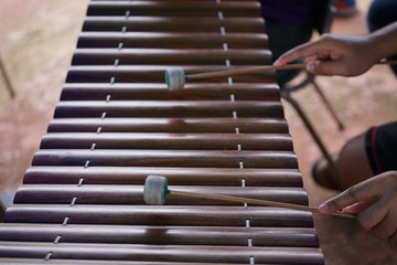 Xylophone is a kind of musical instrument.