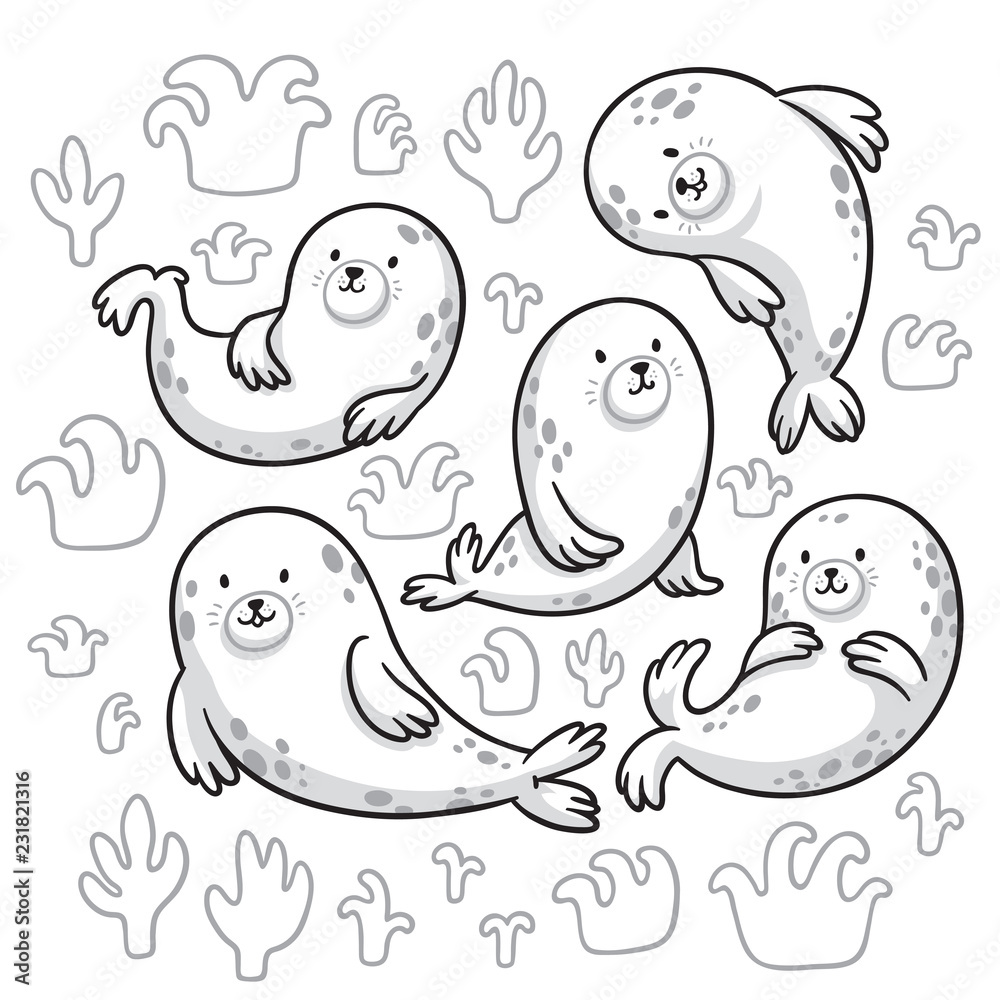 Wall mural seal animals characters in outline. vector cartoon set