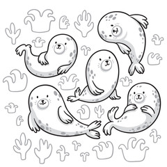 Seal animals characters in outline. Vector cartoon set