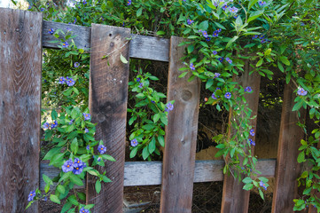 Naklejka premium wooden fence