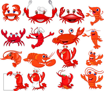 Cartoon shrimp and crab collection set