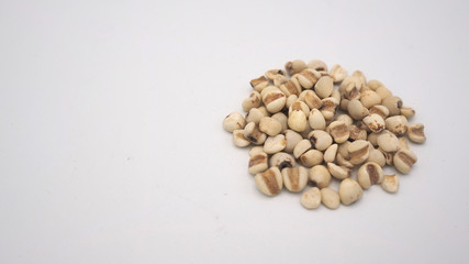 Job's Tears, also known as adlay and coix on white background. Popular in Asian cultures as a food source.