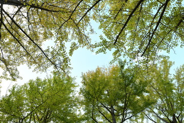 茨城県立歴史館