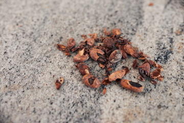 Cocoa beans and nibs on a chocolate making factory table