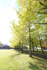 Naklejka premium 茨城県立歴史館