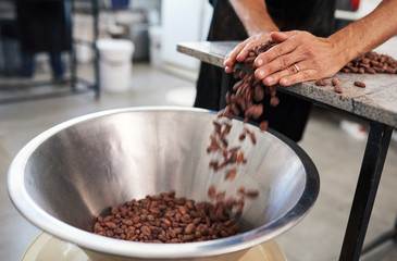Worker pushing cocoa beans into a bowl for chocolate production