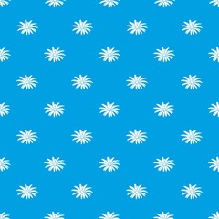 Camomile flower pattern vector seamless blue repeat for any use