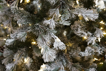 Close up on Christmas tree with light and snow decoration