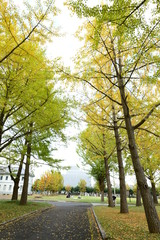 茨城県立歴史館
