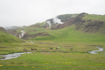 Fototapeta na wymiar Landschaft mit heißen Quellen und Wasserfällen im Hengill Geothermalgebiet / Süd-West-Island 