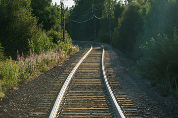 Obraz premium railway in the forest