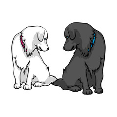 Dogs are sad. Two lovely labradors looking at each other