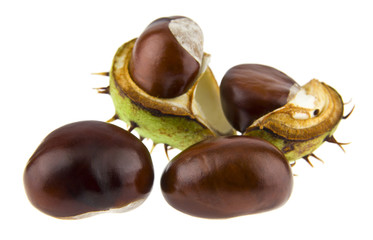 chestnuts isolated on white background