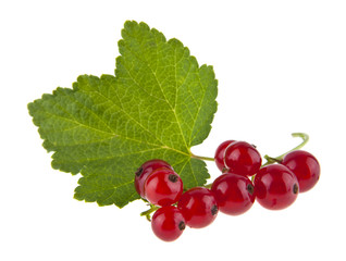 red currant berries isolated on white background