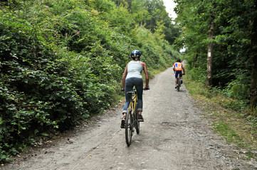 Naklejka premium velo nature environnement VTT Ardennes Bois foret