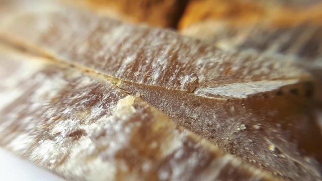 Fossilized Belemnits On White. Macro Close-Up Studio Shot.