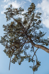 Cultures in South Korea