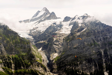 Paragliders