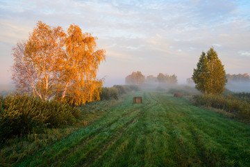 Fototapeta na wymiar Autumn dawn.