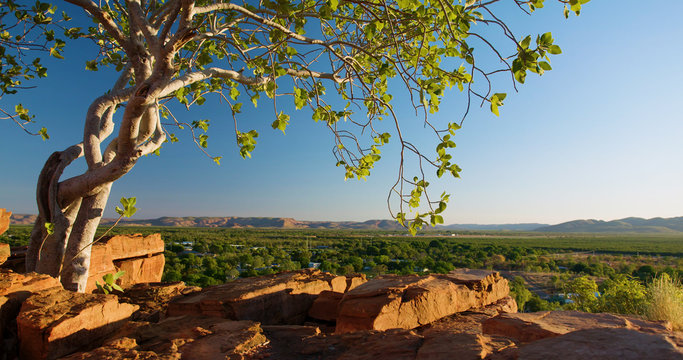 Kununurra Western Australia At Sunset With Beautiful Tree In Foreground.