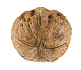 walnut isolated on white background