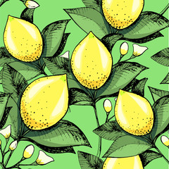 lemon on green background seamless pattern