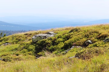 Obraz premium Brocken Harz 