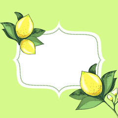 Frame with hand drawn lemons