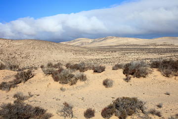 Fuerteventura