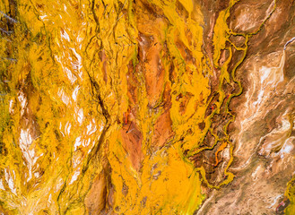 Aerial shot of pollution by toxic waste flowed to the surface and destroys forests and lakes
