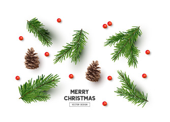 Vector Christmas Natural Decoration Set