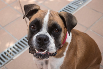 Fototapete bei efototapeten.de bestellen   