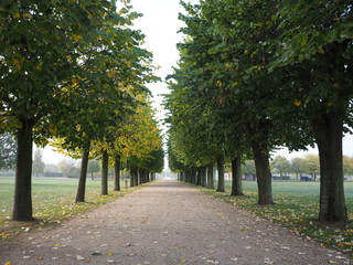 Lindenallee in der ehemaligen römischen Stadt Ulpia Traiana in Xanten 