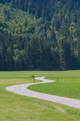Radweg im Graswangtal
