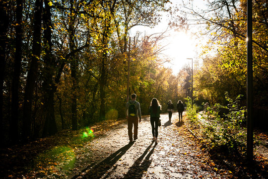 People walking on a path in the forest near the city during sunset on autumn