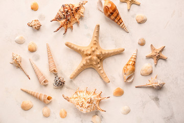Different sea shells with starfishes on light background
