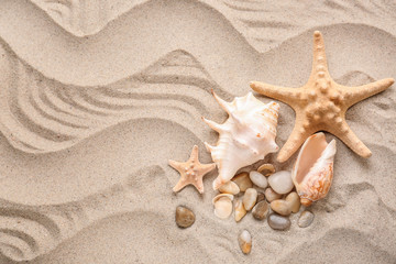 Fototapeta na wymiar Different sea shells and starfishes on sand