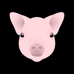 Pig, piglet. Face. Vector illustration. Nice style. Chinese New Year. Symbol of 2019.