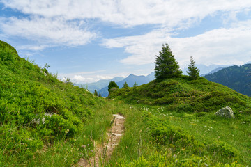 Pfad oder Weg in den Bergen der Alpen